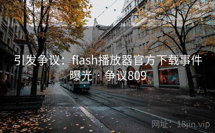 引发争议：flash播放器官方下载事件曝光 · 争议809