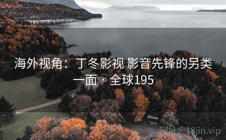 海外视角:丁冬影视 影音先锋的另类一面 · 全球195 海外视角:丁冬影视 影音先锋的另类一面 · 全球195