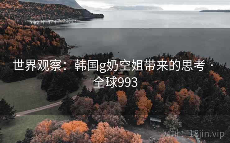 世界观察：韩国g奶空姐带来的思考 · 全球993