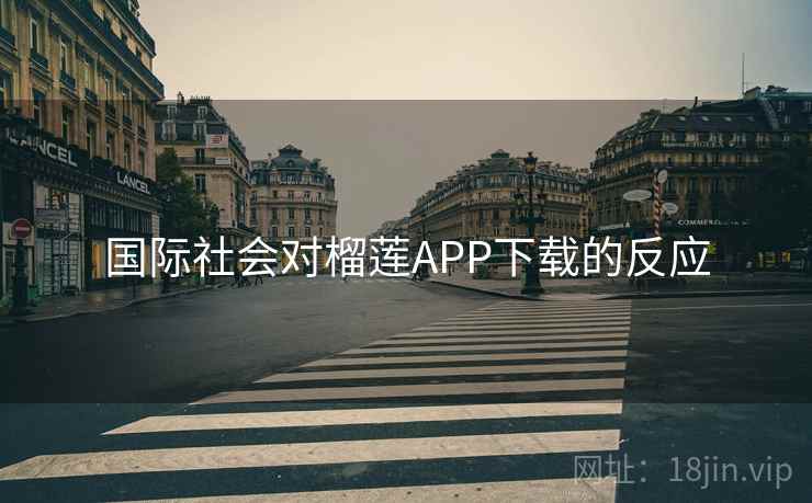 国际社会对榴莲APP下载的反应
